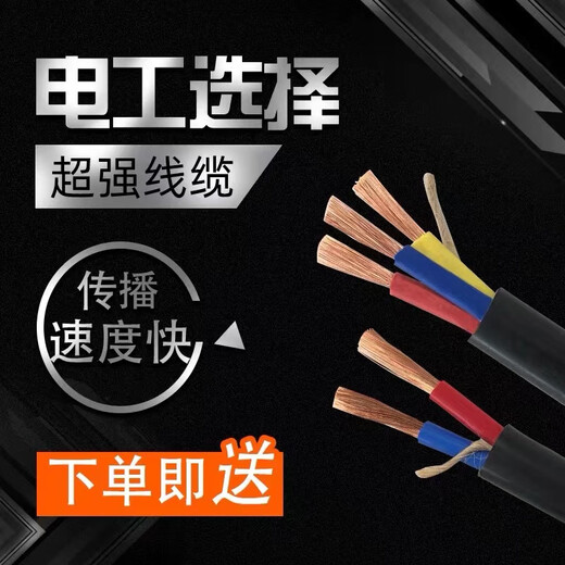 工程电线电缆线国标户外电缆2芯2.5平方20米大功率防水防冻防晒线 国标2芯2.5平方100米 送5件套