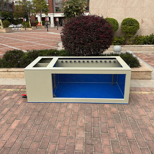 Tileson large ultra-white glass ornamental fish tank filter Koi fish pond living room balcony hotel supermarket fish box with side customization, gray outside and blue ornamental fish tank (with a full set of filter materials, 300x150x100cm side filtration occupies about 60 cm
