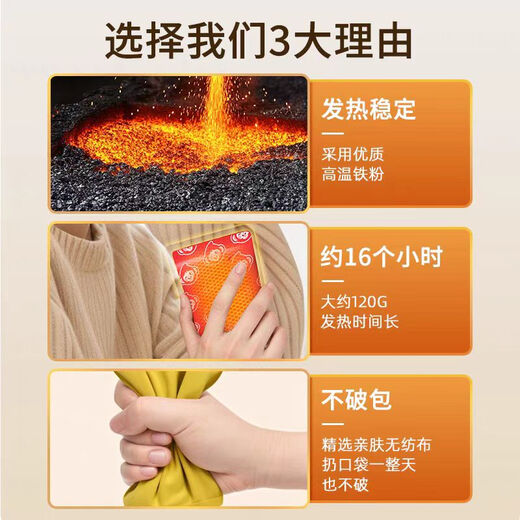 Hand Warmer Baby Warmer Autumn and Winter Hand Warmer Artifact Cute and Funny Gift for Students and Office Workers Outdoor Multifunctional Replaceable Heating Core 1 Little Dinosaur + 2 Heating Cores (Random Color)