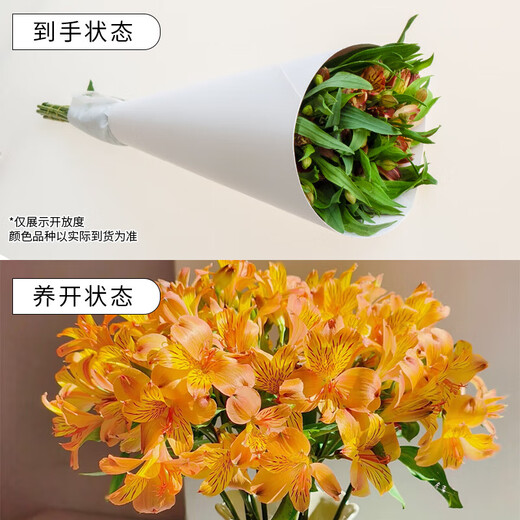 Live broadcast 10 pink Haisheng Sixth Day flowers (45-55CM) Valentine's Day gift New Year's decoration flowers 1 set