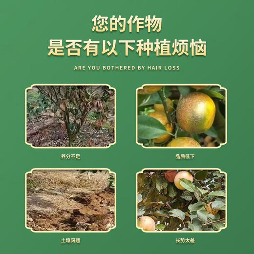 Fruit tree special fertilizer base fertilizer treasure to condition the soil, improve tree vigor, supplement nutrition, improve quality and increase production, granular water-soluble fertilizer, fruit tree base fertilizer treasure, genuine original 500g*20 bags