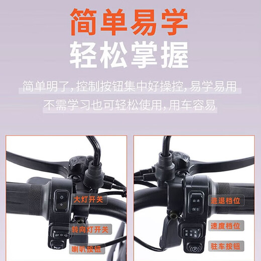 Flying Pigeon electric tricycle double-row electric tricycle for the elderly to pick up and drop off children for leisure electric tricycle national standard C6 1000W72V24A black gold 6 batteries about 110 miles