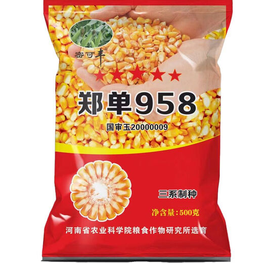 A complete collection of high-yielding dwarf corn seeds. Disease-resistant, drought-resistant and lodging-resistant. The Academy of Agricultural Sciences mainly recommends spring and summer sowing in the north and south. Mature live stalks. 1 Jin Jin is equal to 0.5 kg.