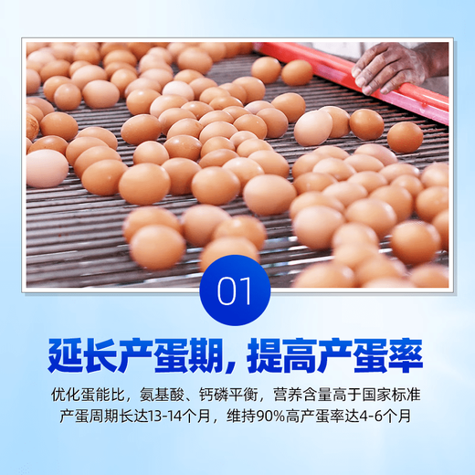 OIMG 5% layer premix for small chickens, medium chickens, large chickens, laying hens during the laying period, multi-egg feed additives, chicken feed 5% series, L516, laying hens, brooding period 25KG