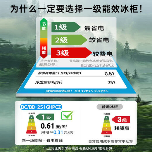 海尔（Haier）宝蓝251升单温冰柜家用小型-35度超低温大容量无需频繁除霜300升以下冷冻柜BC/BD-251GHPCZ补贴