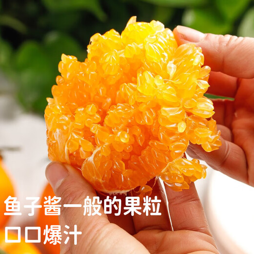 Sichuan Chunjian Rake Mandarin Straight from the Source Fresh Citrus Papa Mandarin Ugly Citrus Fruit for Pregnant Women Golden Diamond Fruit Single Fruit 90mm+ 5Jin Jin is equal to 0.5kg Packing is more cost-effective Net weight 4.5Jin Jin is equal to 0.5kg