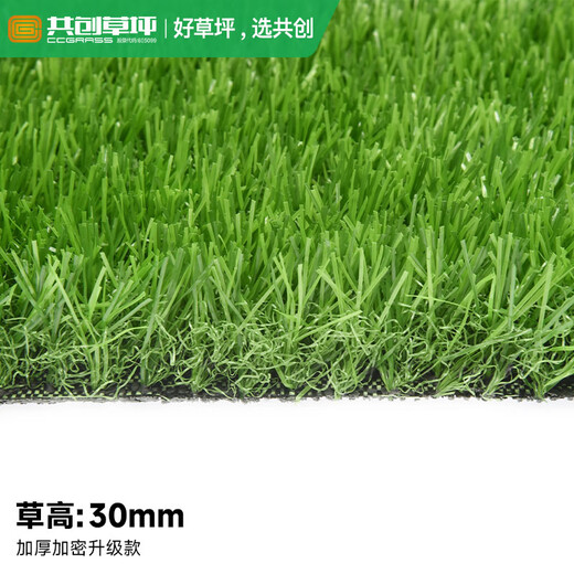 Co-Create Lawn Artificial Turf Courtyard Kindergarten Golf Simulated Turf Garden Gym School Rooftop Fake Lawn Villa 30mm Thickened Encrypted Upgrade (Spring Grass)
