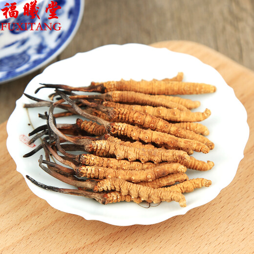 Zangxitang Naqu Cordyceps sinensis, tibetanische Naqu Cordyceps sinensis, Geschenkbox, Cordyceps sinensis 3 1 Gramm 10 Gramm