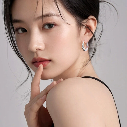 Yalundi sterling silver earrings women's earrings large plain hoop earrings 2025 new high-end light luxury earrings