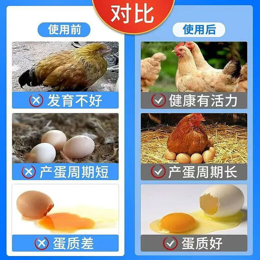 Egg Duoduo chickens, ducks, geese, general egg-laying treasure, egg-stimulating device to improve egg quality, special feed additive for those who cannot lay eggs in cold weather, 2 bags, specially designed to cure those who cannot lay eggs in cold weather.