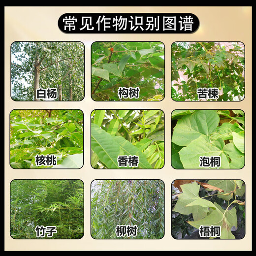 Cyclopinone and copper-based bamboo weed killer, rotten root removal and dead tree agent, special medicine for big tree rotten roots, Cyclopinon granules 500g*2 bags, spray directly