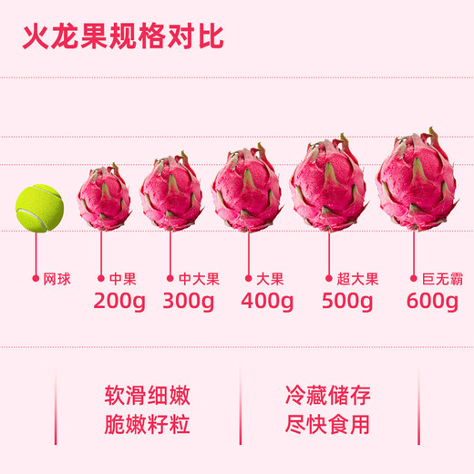 Jingxiansheng Guangxi Red Heart Pitaya Gift Box Style, net weight 9Jin Jin is equal to 0.5kg, single fruit starting from 400g, fresh fruit delivered directly from the source