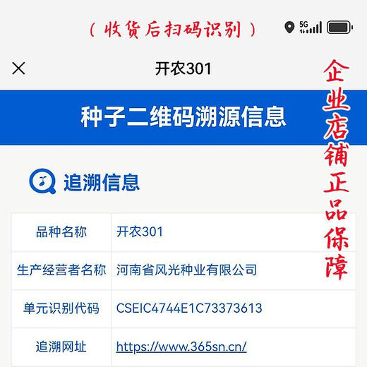 High-end Kainong 301 peanut seeds, thin shell, early maturity, high yield, high oil, short stem, disease resistance, sown by farmers in spring and summer, Kainong 301 original 500g x 2 bags