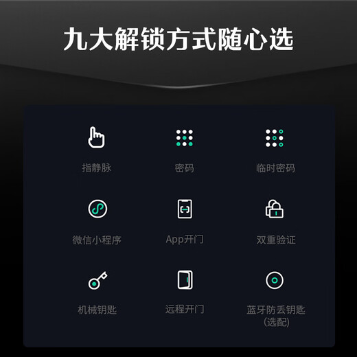 DESMAN Smart Türschloss Finger Venenerkennung Sentinel Smart Cat Eye Großbildschirm Fingerabdruck Passwortsperre Dasheng Q5MSPro
