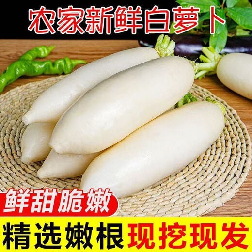 Dongdong Maicai, fresh white radish, freshly dug, crispy, sweet, supermarket fresh and fat-reduced vegetables, fresh white radish 2Jin Jin is equal to 0.5kg, including box