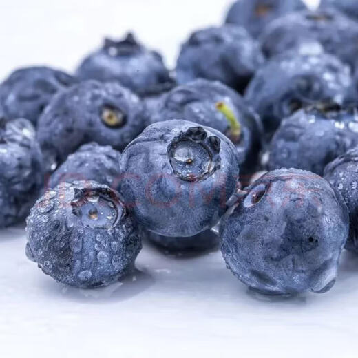 Jingxiansheng Yunnan blueberries in season 4 boxes of extra large fruit 22mm+ 125g/box fresh fruit straight from the source