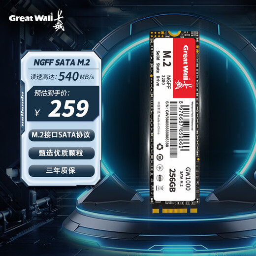 Great Wall 256GB SSD solid state drive M.2 interface SATA protocol reading speed 540MB/S GW1000 series