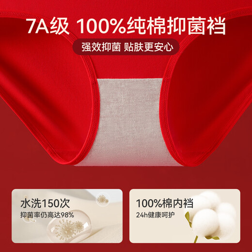 Catman Women's Underwear Women's Year of the Horse Red Underwear Women's Pure Cotton 100% Cotton Socks Festive Wedding New Year Gift Box