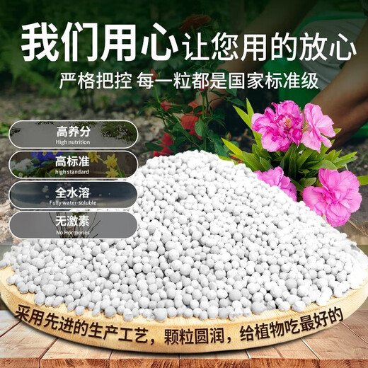 磷酸二铵复合肥小袋肥料家用蔬菜花卉果树盆栽通用型复合肥料化肥 【5斤】磷酸二铵