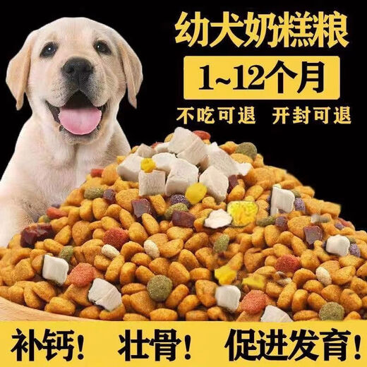 Zailu native dog food 10Jin Jin is equal to 0.5kg. Puppy and adult dog Chinese pastoral dog affordable price 20Jin Jin is equal to 0.5kg. Full price puppy and large dog food. Dog food pure fruit and vegetable flavor. 2 points 5kg5Jin Jin is equal to 0.5kg.