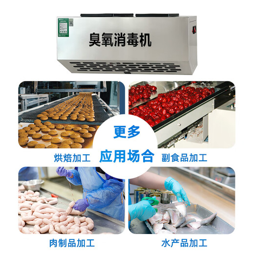 IGENU304 wall-mounted ozone generator industrial commercial disinfection machine food factory farm garbage room laboratory hospital school canteen restaurant kitchen deodorization and odor removal 304 stainless steel smart model 10g/h