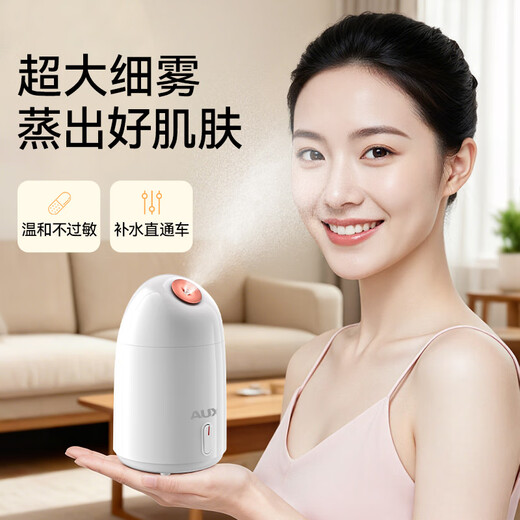 AUX hot spray facial steamer beauty instrument facial steamer steamer oxygen injector nano spray hydrating open pores home mask partner birthday New Year's Day gift