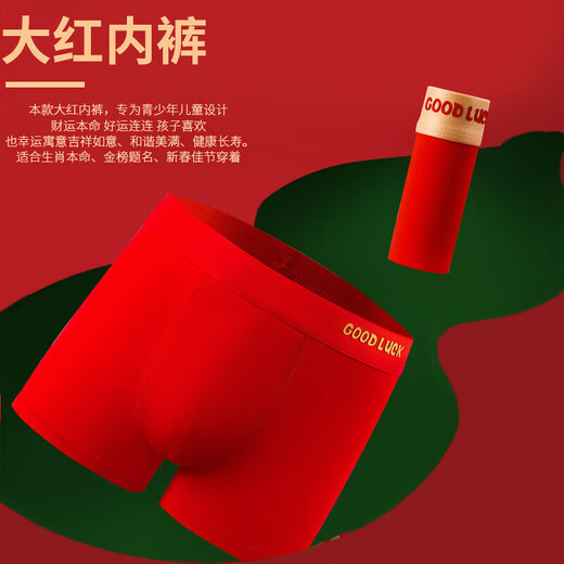 Children's Underwear Red Boys' Animal Year New Year's Cotton Shorts Youth 10A Antibacterial Modal Boxer Briefs Good Luck for Boys 3 Pairs One Size (4XL) Reference Height 160cm