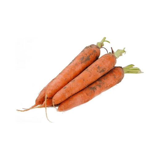 Dongdong Maicai, freshly dug carrots from the origin, high-quality small fruit hot pot ingredients JD.com, Henan fresh carrots 2Jin Jin is equal to 0.5kg, net weight (1.9Jin Jin is equal to 0.5kg)