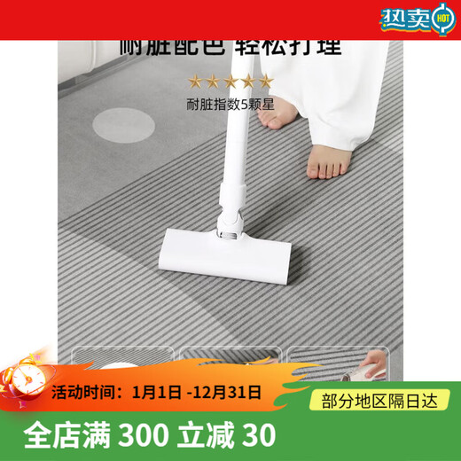 素野地毯客厅2024新款轻奢沙发地垫免洗可擦房间卧室家用茶几毯厚 现代15601 200*300cm升级加厚款易打理