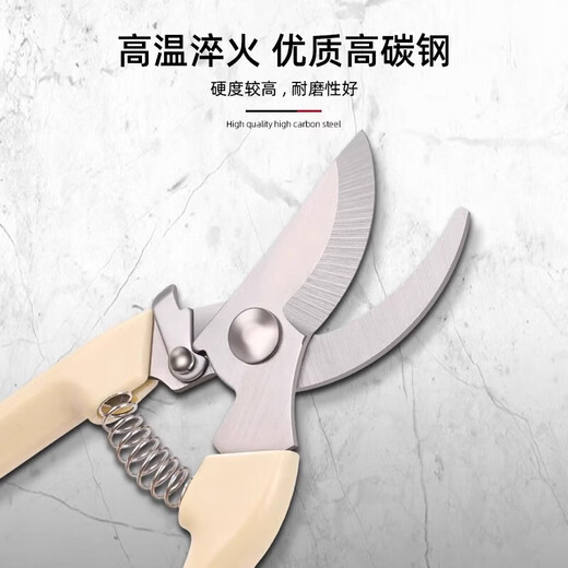 Stainless steel branch pruning shears for picking fruits and flowers, garden fruit trees, flower branches, grafting, gardening scissors tools, straight head fruit picking shears, long-term fruit picking without tired hands