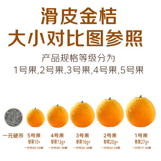 京觅广西融安第二代脆皮金桔 5号果-彩盒3斤装 单果10g+ 源头直发