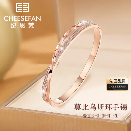 Ji Sifan Light Luxury Bracelet Women's Four-leaf Clover Bracelet Jewelry Valentine's Day Anniversary Birthday Gift for Girlfriend and Wife Mobius Infinite Love Bracelet (Next Day Delivery)