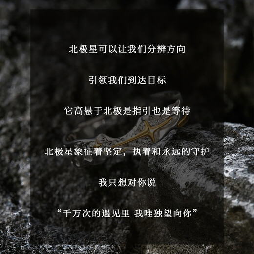 Ostantin S925 silver ring ring for men with adjustable opening, trendy and handsome index finger tail ring, Valentine's Day gift for boyfriend and husband, Polaris Ring - brand original gift box, single