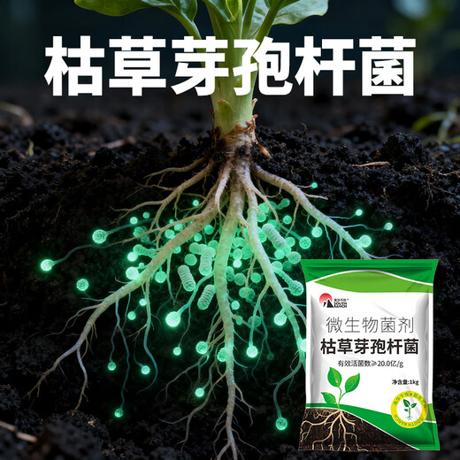 SOUTH RANCH agricultural Bacillus subtilis ecological organic planting mulch root nourishment soil anti-root rot and anti-repeat bacterial fertilizer Bacillus subtilis 1000g*10 bags