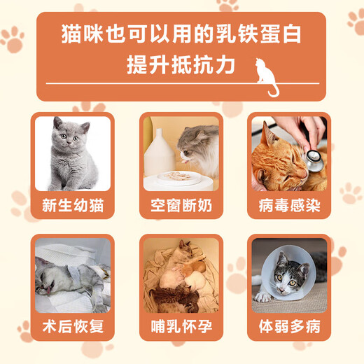 Jarrow杰诺乳铁蛋白胶囊增强人体免疫力成人预防换季猫咪可用美国进口 冻干乳铁蛋白 30粒/瓶
