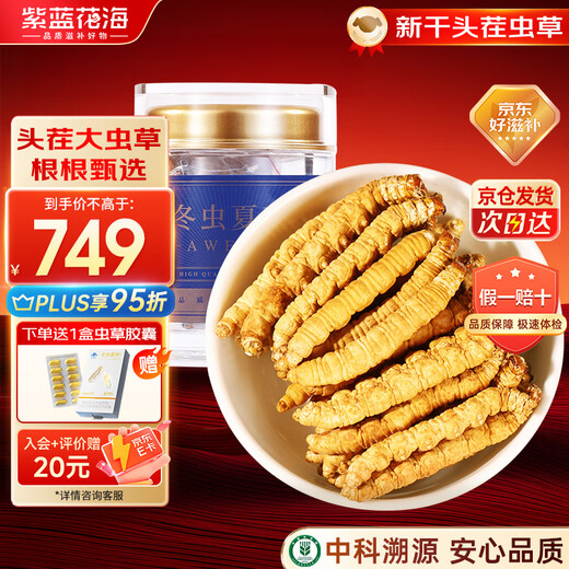 紫蓝花海冬虫夏草10g(18-21根) 全虫断草甄选断虫草营养品滋补品 健康礼盒