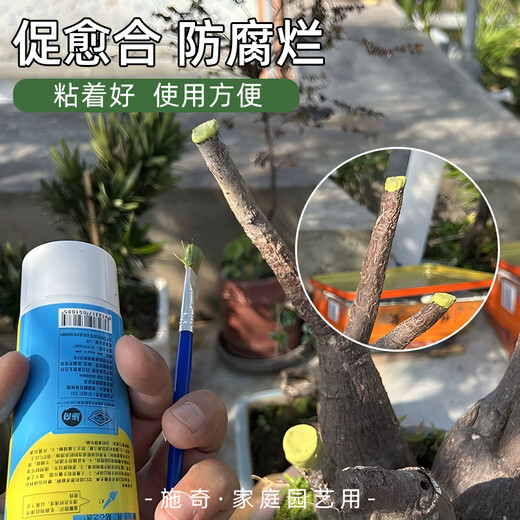 Shiqi wound healing agent tree rose fruit tree seedlings plant bonsai pruning grafting healing ointment smear healing ointment