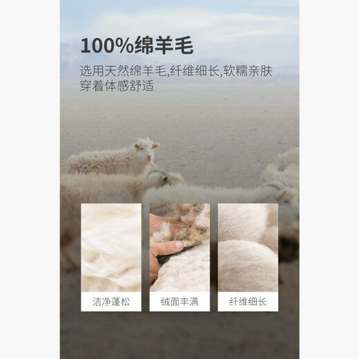 HECHTER Men's zodiac year 100% wool sweater round neck warm and versatile red sweater men's Year of the Horse Qiji Red Brick Red Hot Selling Color L