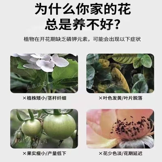 Urea Fertilizer Agricultural Nitrogen Fertilizer for Vegetables, Compound Fertilizer for Planting Flowers, Fruit Trees, Potted Flowers, Universal Flower Fertilizer Genuine Weihe Medium and Small Granular Urea Contains 46% Nitrogen 2.5kg Trial