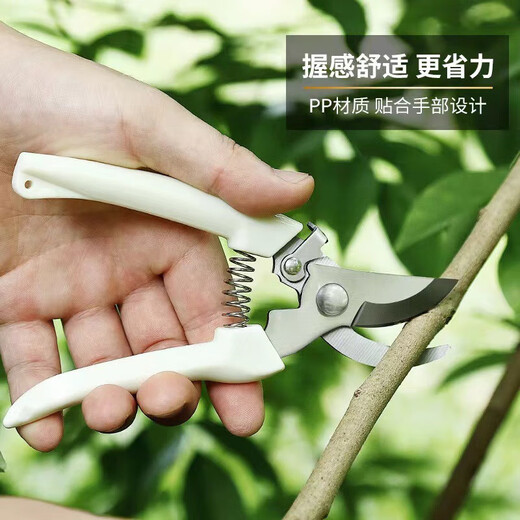 Stainless steel branch pruning shears for picking fruits and flowers, garden fruit trees, flower branches, grafting, gardening scissors tools, straight head fruit picking shears, long-term fruit picking without tired hands