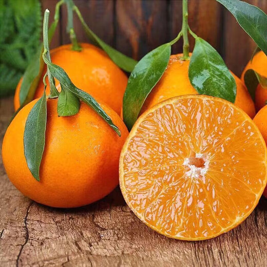京榴香四川爱媛38果冻橙 水果橙子生鲜 6-4枚实惠装