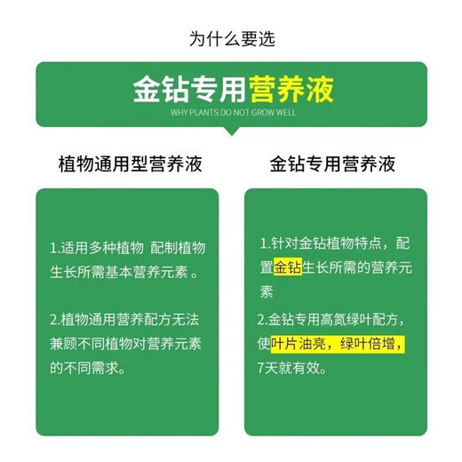 Daye Golden Diamond Special Nutrient Solution Red Diamond Green Princess Yellow Leaf Hydroponic Plants Indoor Potted Green Plants Organic Liquid Fertilizer Golden Diamond Nutrient Solution 300ml/bottle 3 bottles Limited time special price