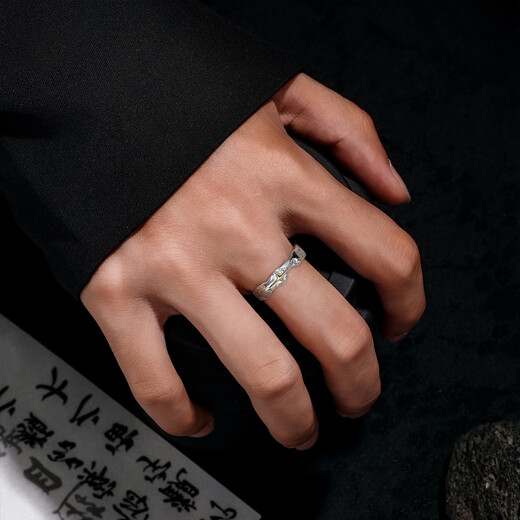 Ostantin S925 silver ring ring for men with adjustable opening, trendy and handsome index finger tail ring, Valentine's Day gift for boyfriend and husband, Polaris Ring - brand original gift box, single