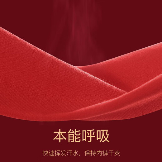 CabraKalani Herrenunterwäsche Herren Rot Sternzeichen Jahr Schlange Jahr Boxer Hochzeit Hongfu Charakter Viereckige Xinjiang-Baumwollsport-lose Hosen A1-Markenzähler Breitkrempiger Xinjiang-Baumwollstil 4 L (Empfohlen 110Jin Jin entspricht innerhalb von 0,5 kg)