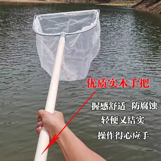 Ultra-dense eye 100 mesh wooden handle stainless steel fishing net copy fish net pocket fish net set fish dung fishing gear fish pond cleaning 80 cm handle square head single frame