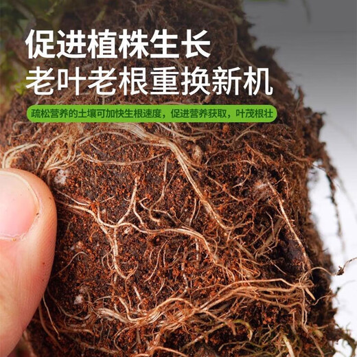 Or garden nutrient soil flower cultivation universal flower soil flower planting soil peat soil potting special soil nursery matrix 10 liters