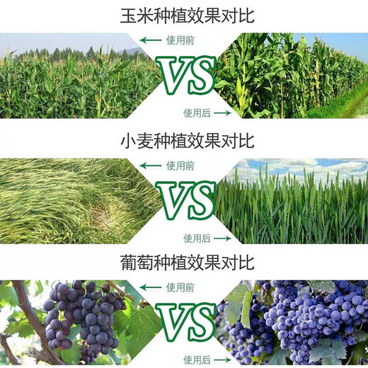 Brassinolide Yuntaixin Preserves flowers and fruit trees, cucumbers, citrus, and fruit-drop prevention plants. Brassinolide growth regulator 10g*50 bags