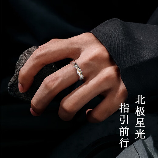 Ostantin S925 silver ring ring for men with adjustable opening, trendy and handsome index finger tail ring, Valentine's Day gift for boyfriend and husband, Polaris Ring - brand original gift box, single