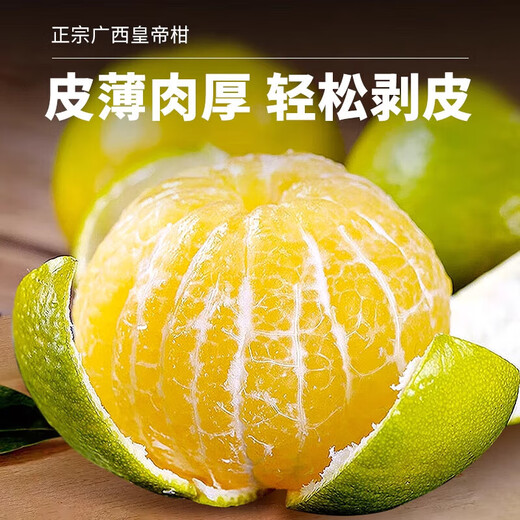 Jingdida Guangxi Emperor Citrus Orange Nettogewicht 4,5 Jin Jin entspricht 0,5 kg Einzelfrucht 60 mm+ Frischfruchtquelle direkt