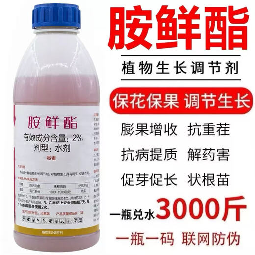 Ammonium ester regulator to protect flowers and fruits, increase production, antidote damage, root and strengthen seedlings, fruit trees, vegetables and flowers foliar fertilizer 500g